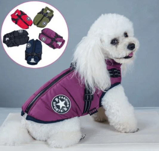 Veste d'hiver imperméable pour chien avec harnais