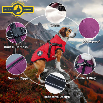 Waterproof Winter Dog Jacket with Harness