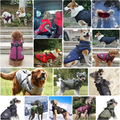 Waterproof Winter Dog Jacket with Harness