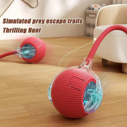 Rechargeable Interactive Pet Ball