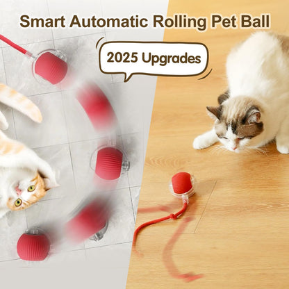 Rechargeable Interactive Pet Ball