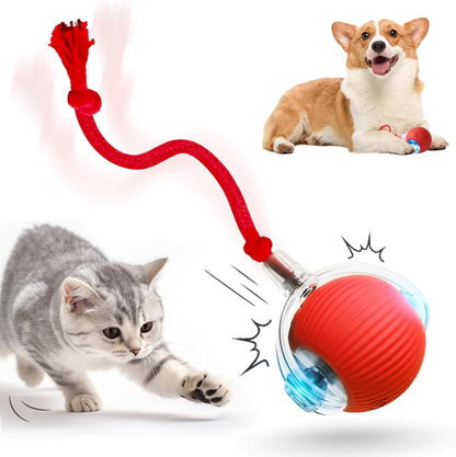 Rechargeable Interactive Pet Ball