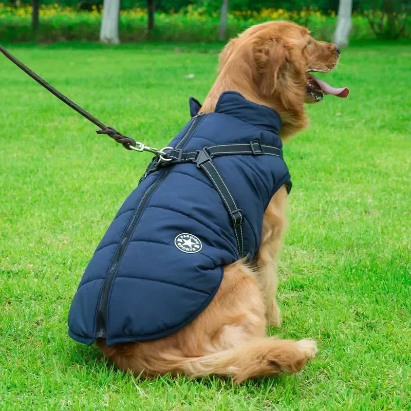 Waterproof Winter Dog Jacket with Harness