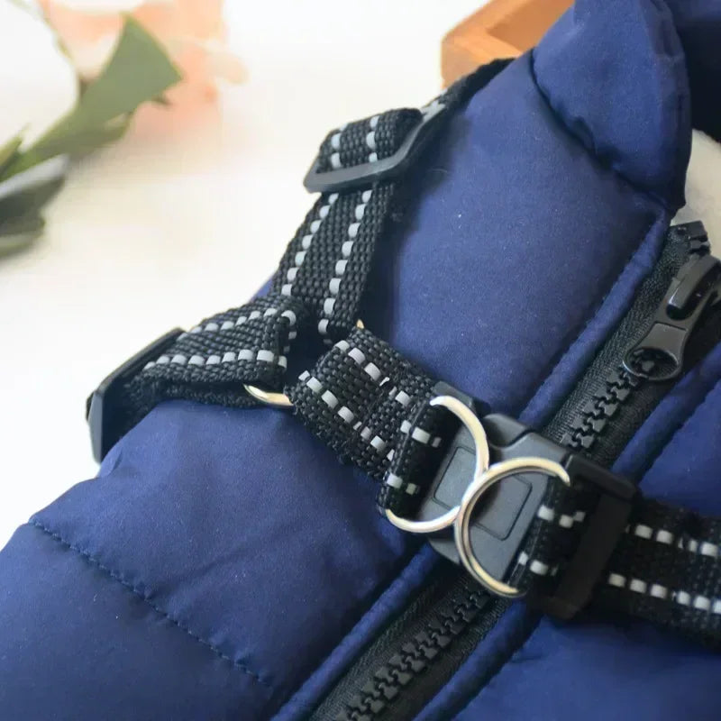 Waterproof Winter Dog Jacket with Harness