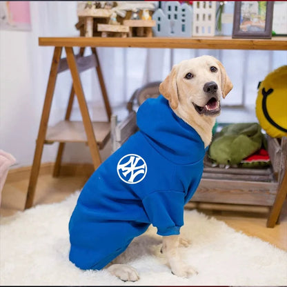 Sweat à capuche doux pour chien en hiver