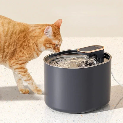 3L Pet Automatic Water Fountain With LED Light