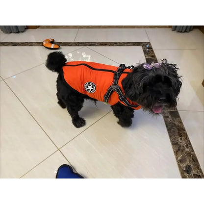 Waterproof Winter Dog Jacket with Harness