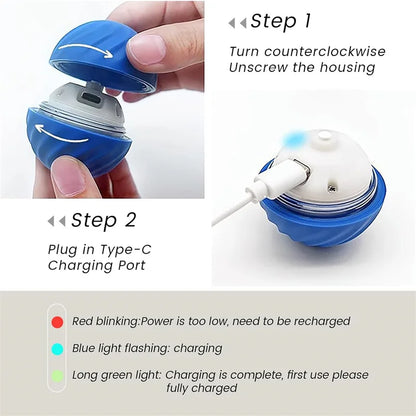 Smart Electronic Pet Toy Ball