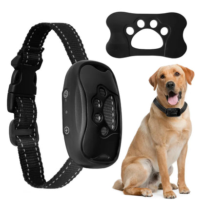 Collier anti-aboiement à ultrasons pour chien