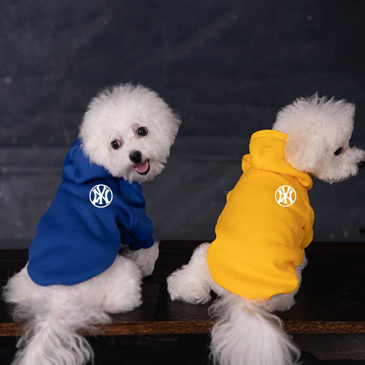 Sweat à capuche doux pour chien en hiver