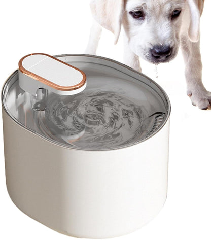 3L Pet Automatic Water Fountain With LED Light