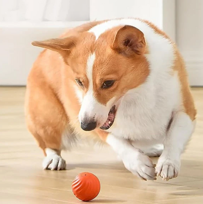 Smart Electronic Pet Toy Ball