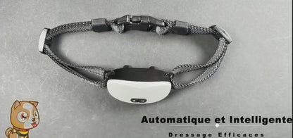 Collier anti-aboiements intelligent et rechargeable